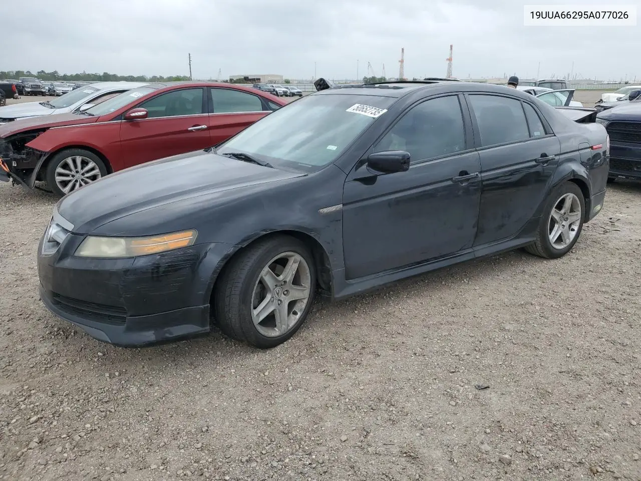 2005 Acura Tl VIN: 19UUA66295A077026 Lot: 50652735