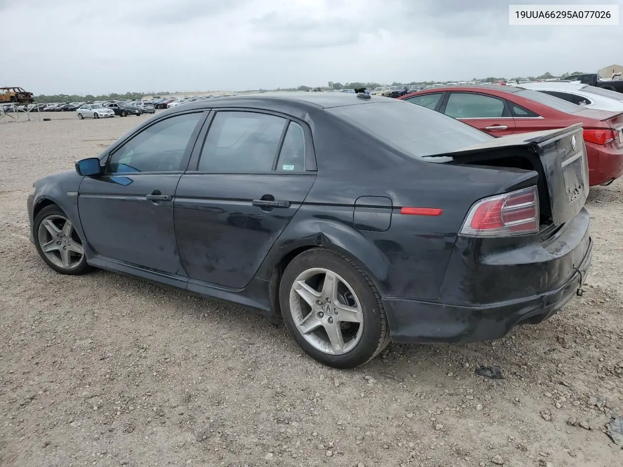 2005 Acura Tl VIN: 19UUA66295A077026 Lot: 50652735