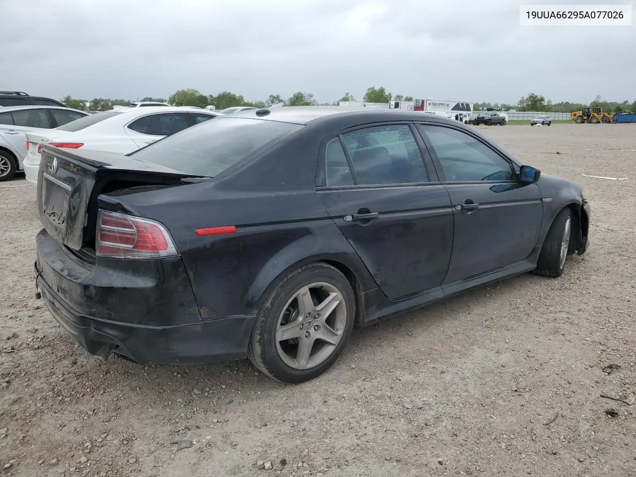 2005 Acura Tl VIN: 19UUA66295A077026 Lot: 50652735