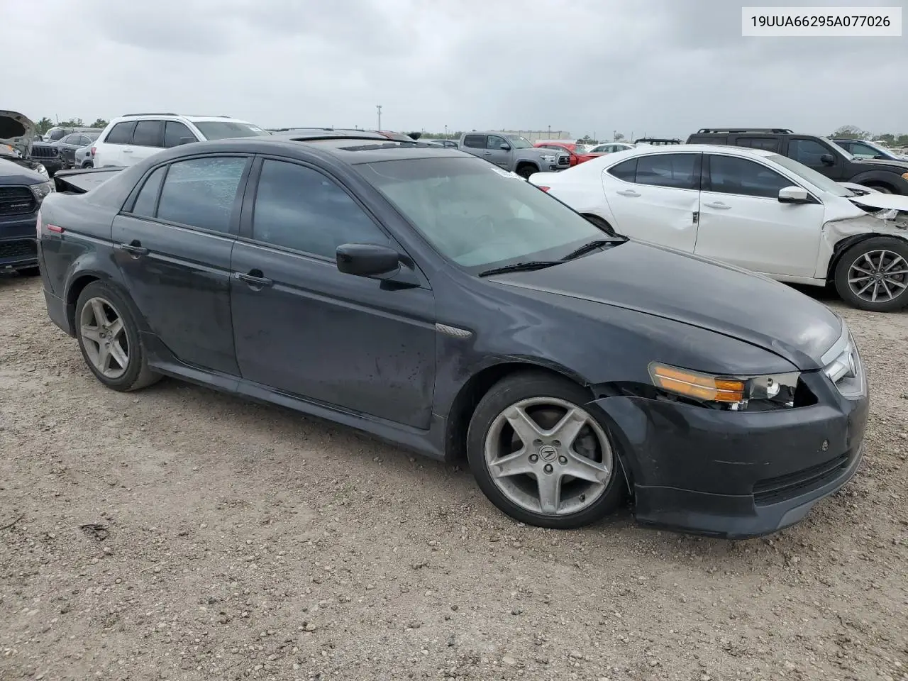 2005 Acura Tl VIN: 19UUA66295A077026 Lot: 50652735