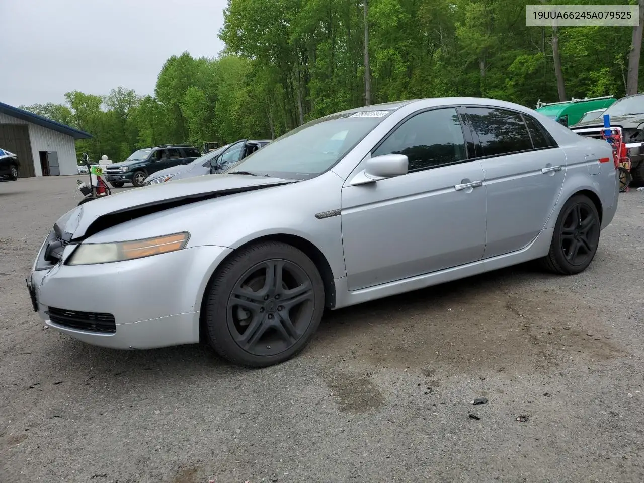 2005 Acura Tl VIN: 19UUA66245A079525 Lot: 56552755