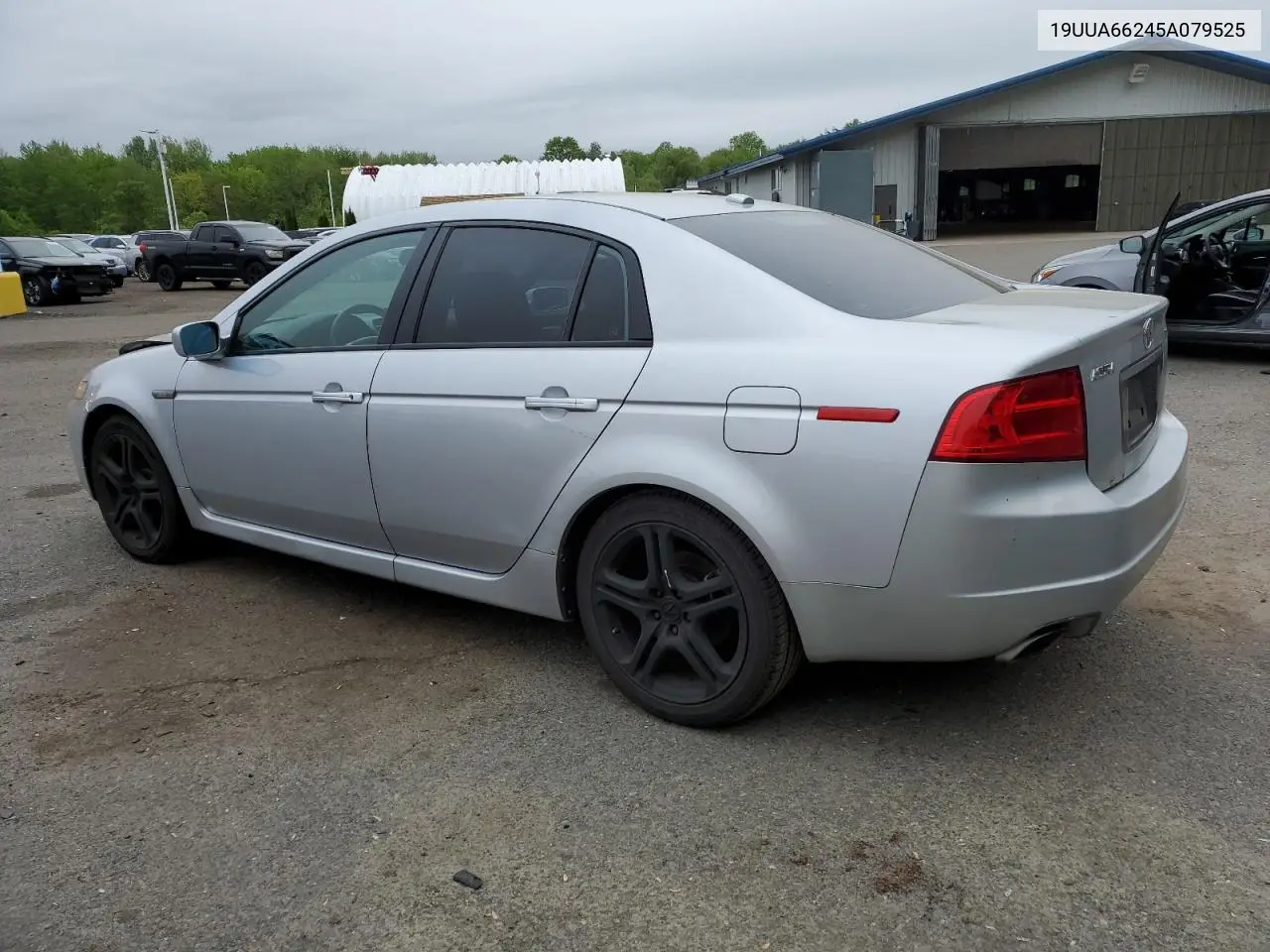 2005 Acura Tl VIN: 19UUA66245A079525 Lot: 56552755