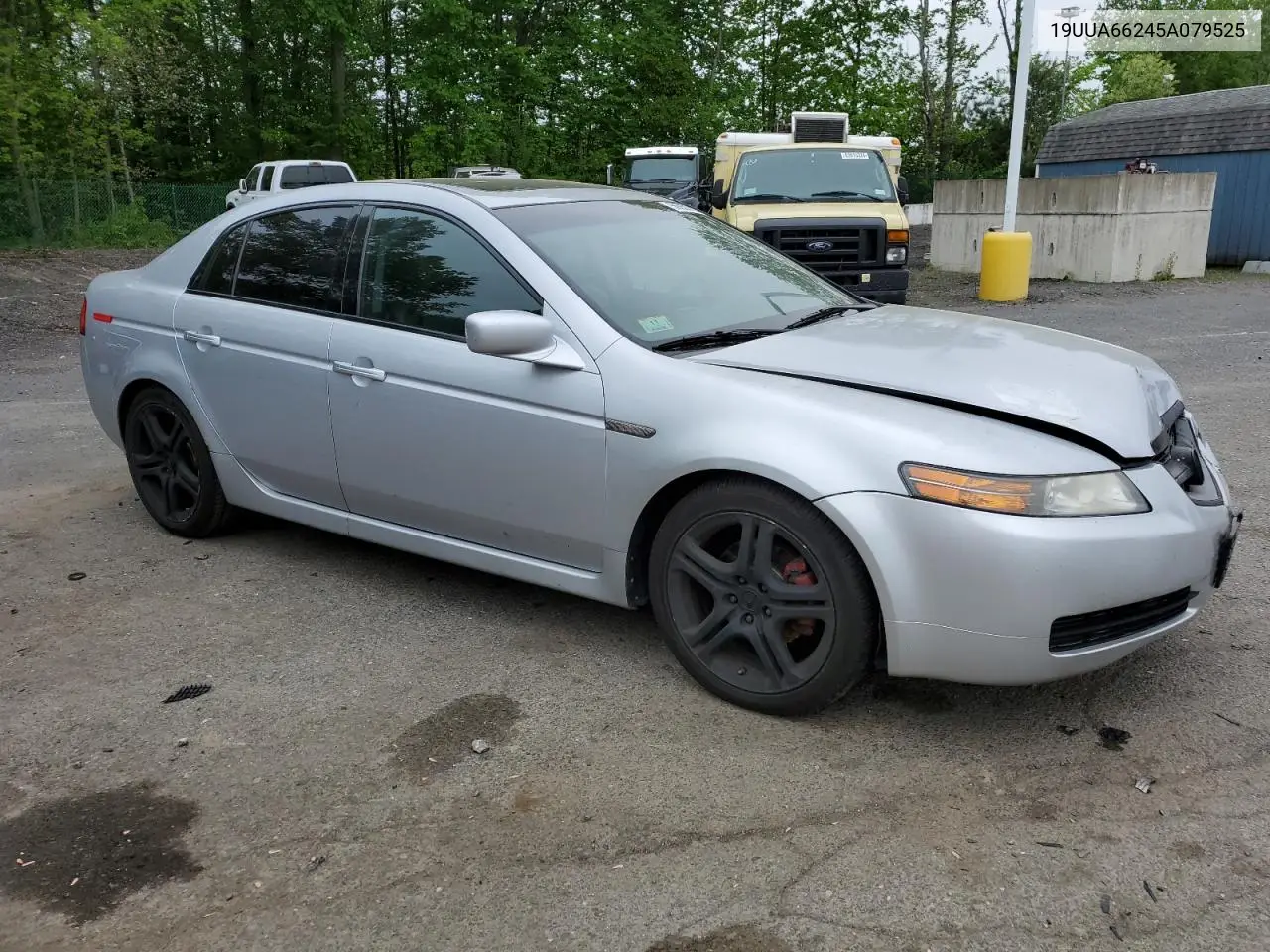 2005 Acura Tl VIN: 19UUA66245A079525 Lot: 56552755