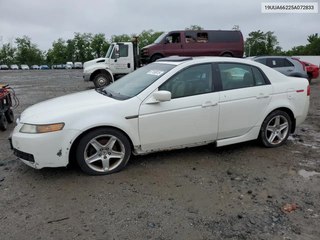 2005 Acura Tl VIN: 19UUA66225A072833 Lot: 57150615