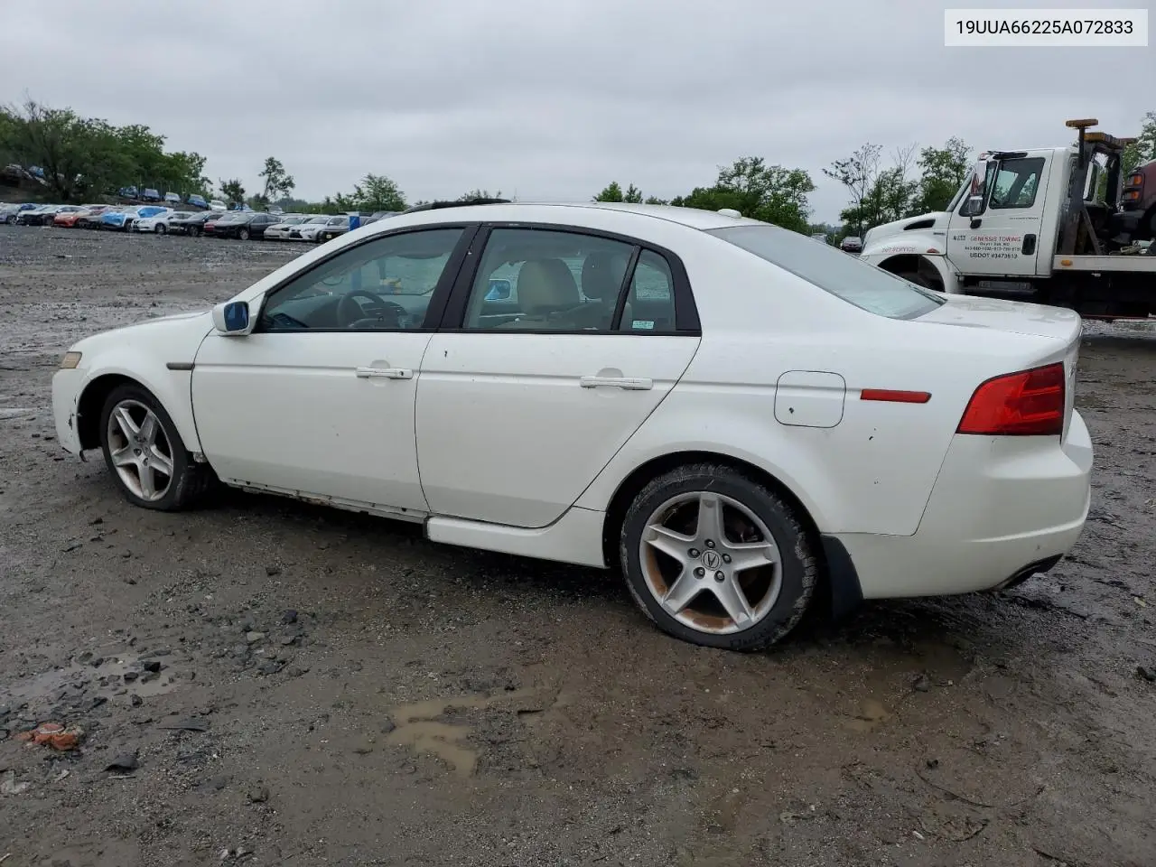 2005 Acura Tl VIN: 19UUA66225A072833 Lot: 57150615