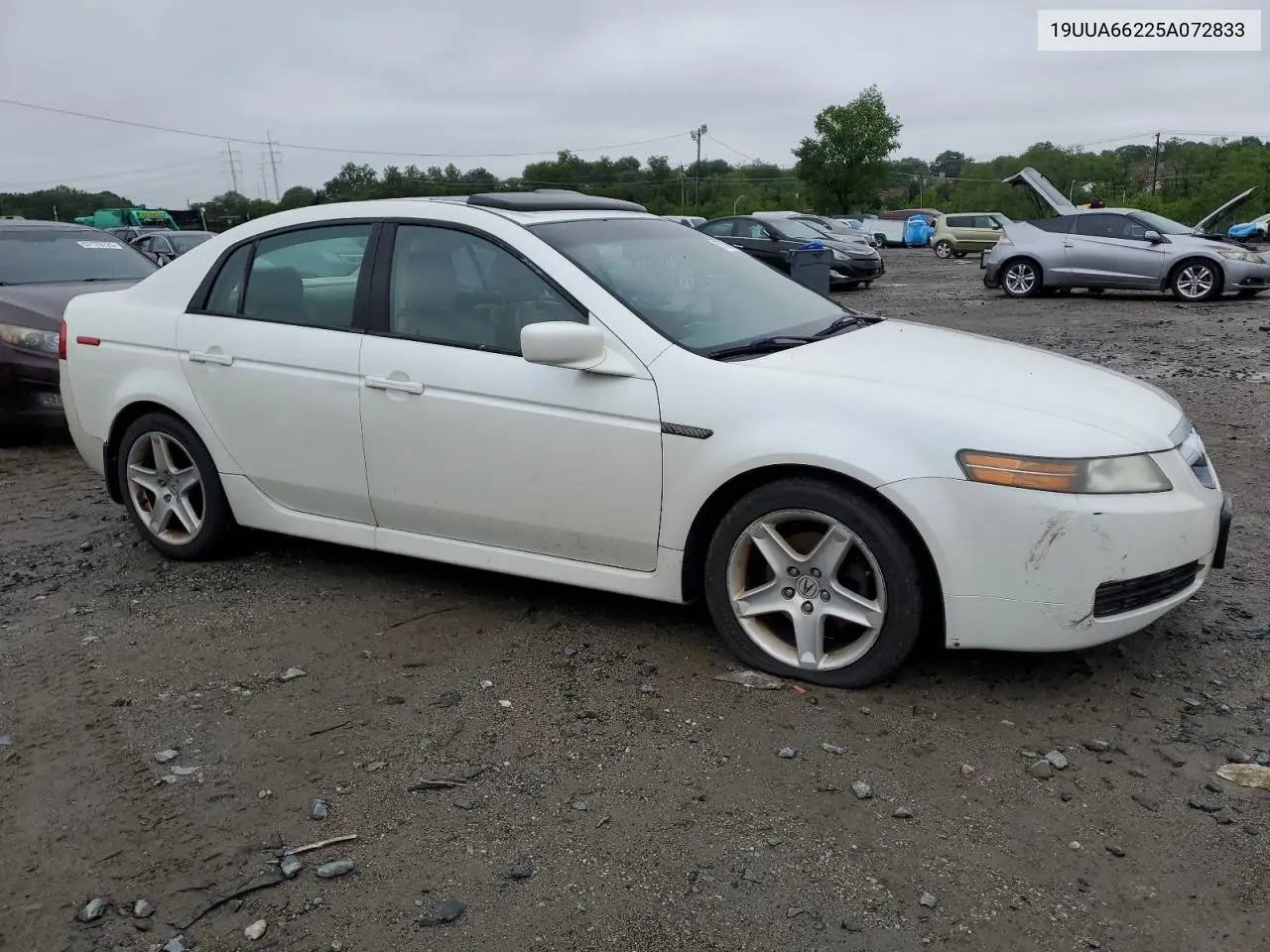 2005 Acura Tl VIN: 19UUA66225A072833 Lot: 57150615