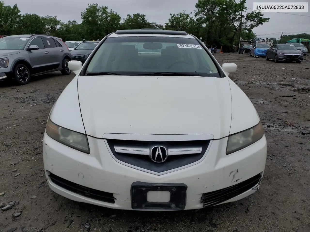 2005 Acura Tl VIN: 19UUA66225A072833 Lot: 57150615