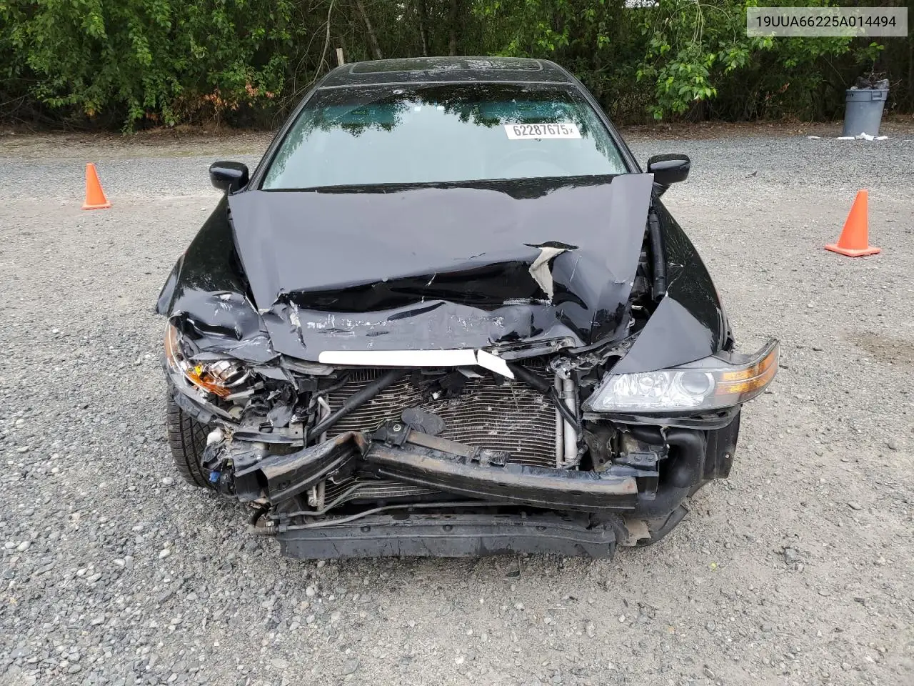 2005 Acura Tl VIN: 19UUA66225A014494 Lot: 62287675