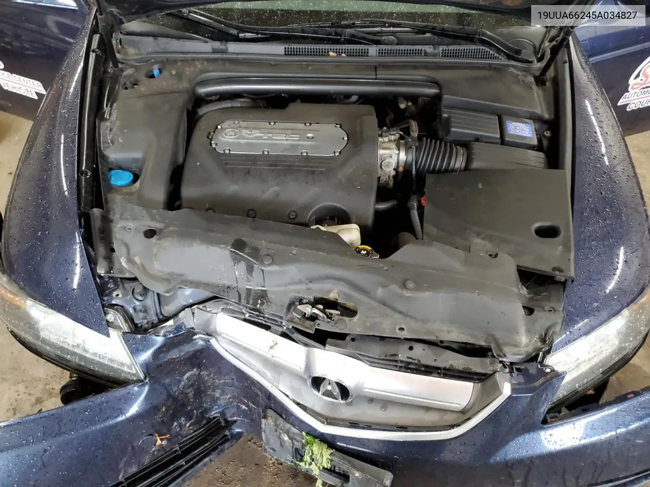 2005 Acura Tl VIN: 19UUA66245A034827 Lot: 62766885