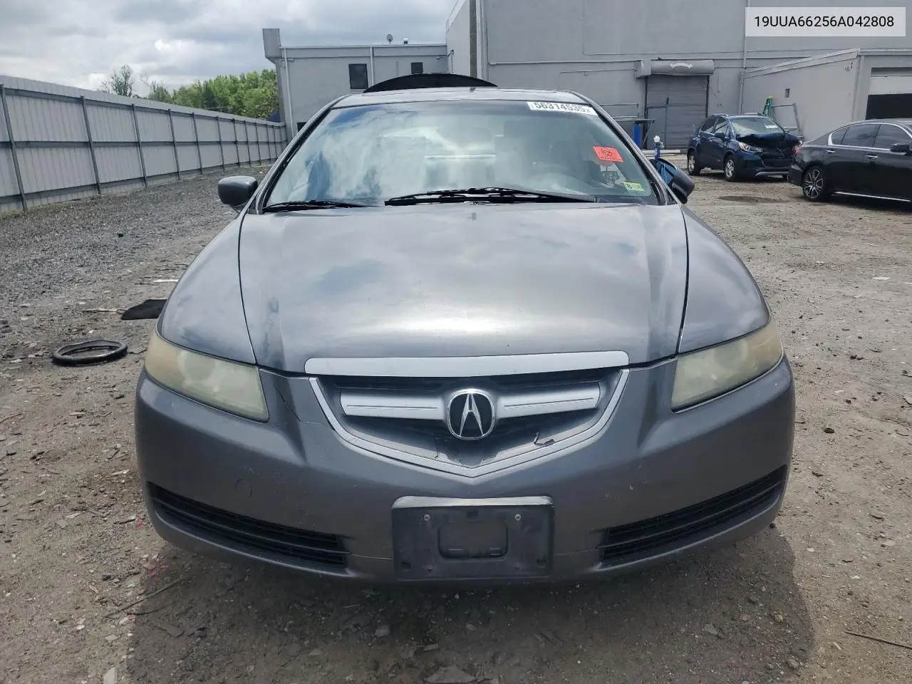 2006 Acura 3.2Tl VIN: 19UUA66256A042808 Lot: 56314535