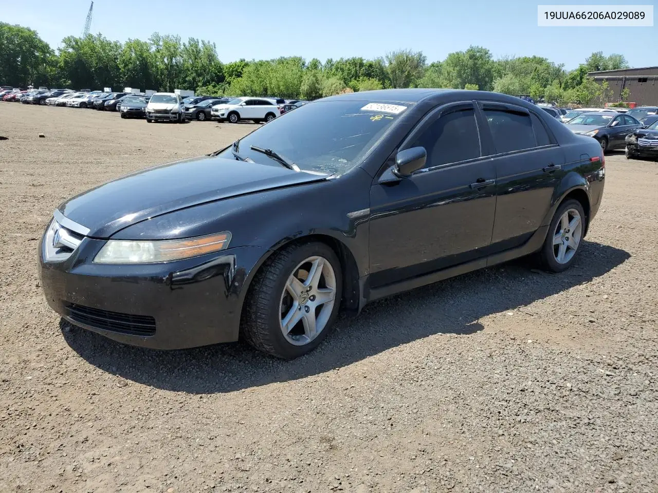 2006 Acura 3.2Tl VIN: 19UUA66206A029089 Lot: 62136515