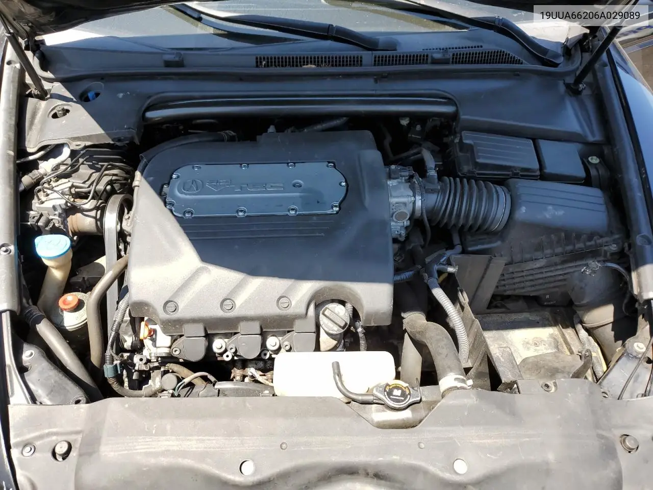 2006 Acura 3.2Tl VIN: 19UUA66206A029089 Lot: 62136515