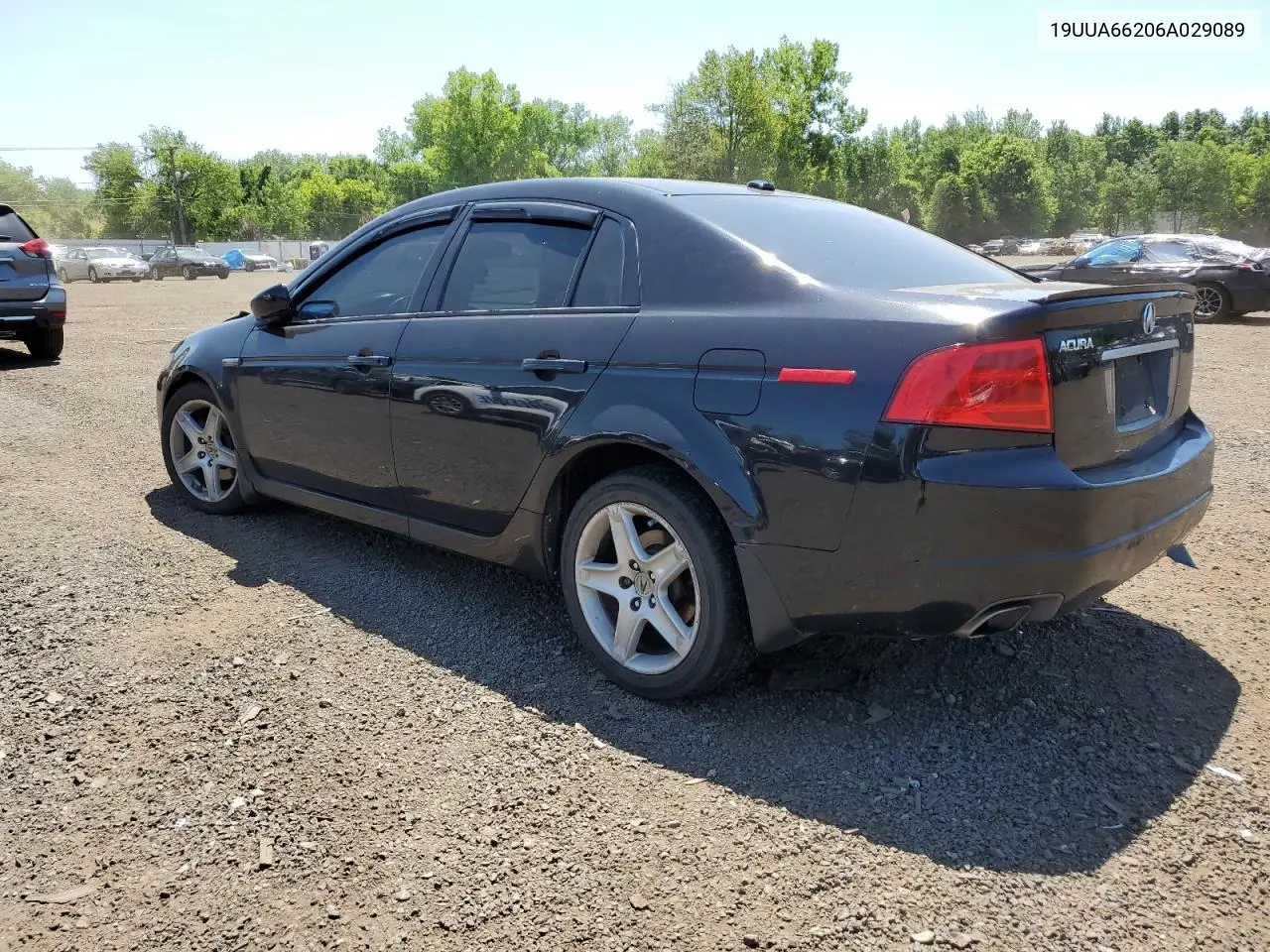 2006 Acura 3.2Tl VIN: 19UUA66206A029089 Lot: 62136515