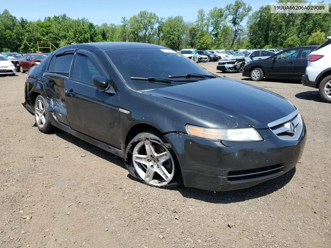 2006 Acura 3.2Tl VIN: 19UUA66206A029089 Lot: 62136515