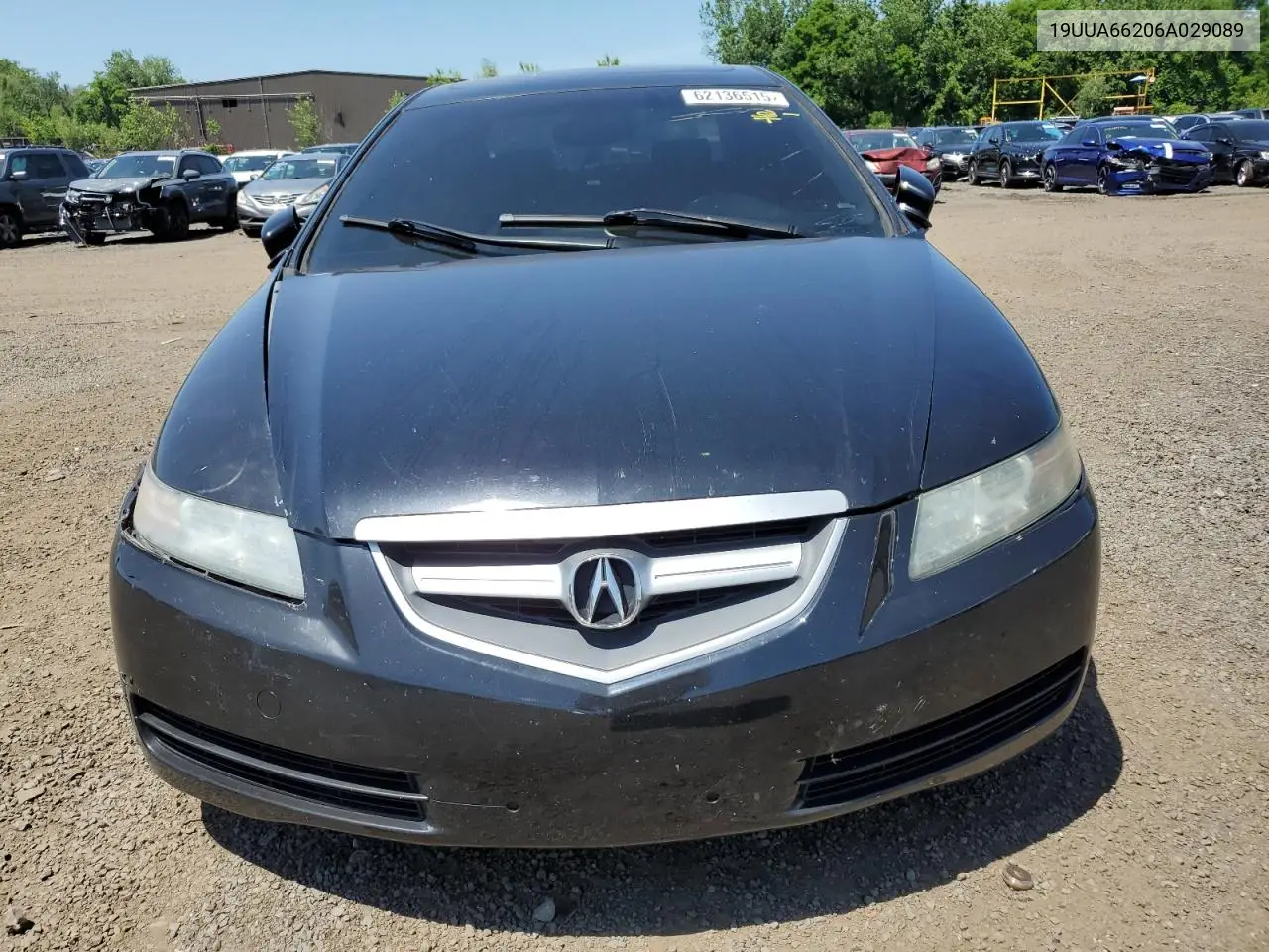 2006 Acura 3.2Tl VIN: 19UUA66206A029089 Lot: 62136515