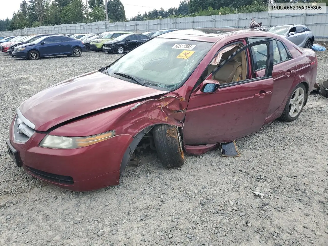 2006 Acura 3.2Tl VIN: 19UUA66206A055305 Lot: 62511385