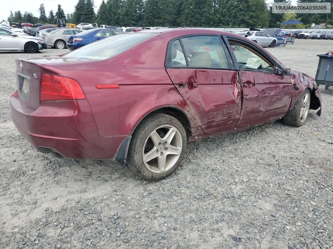 2006 Acura 3.2Tl VIN: 19UUA66206A055305 Lot: 62511385
