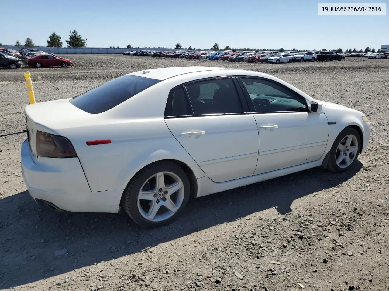 2006 Acura 3.2Tl VIN: 19UUA66236A042516 Lot: 63333235