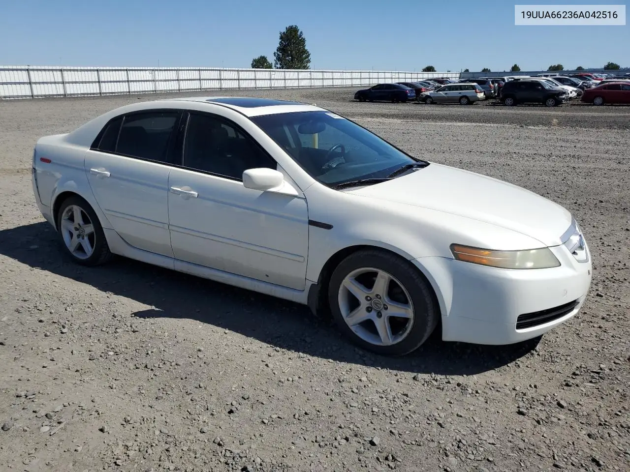 2006 Acura 3.2Tl VIN: 19UUA66236A042516 Lot: 63333235