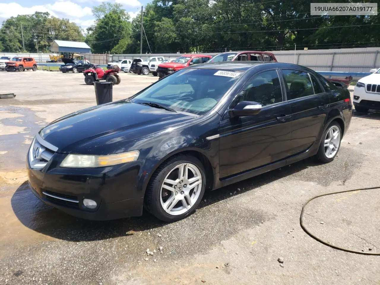 2007 Acura Tl VIN: 19UUA66207A019177 Lot: 56856165