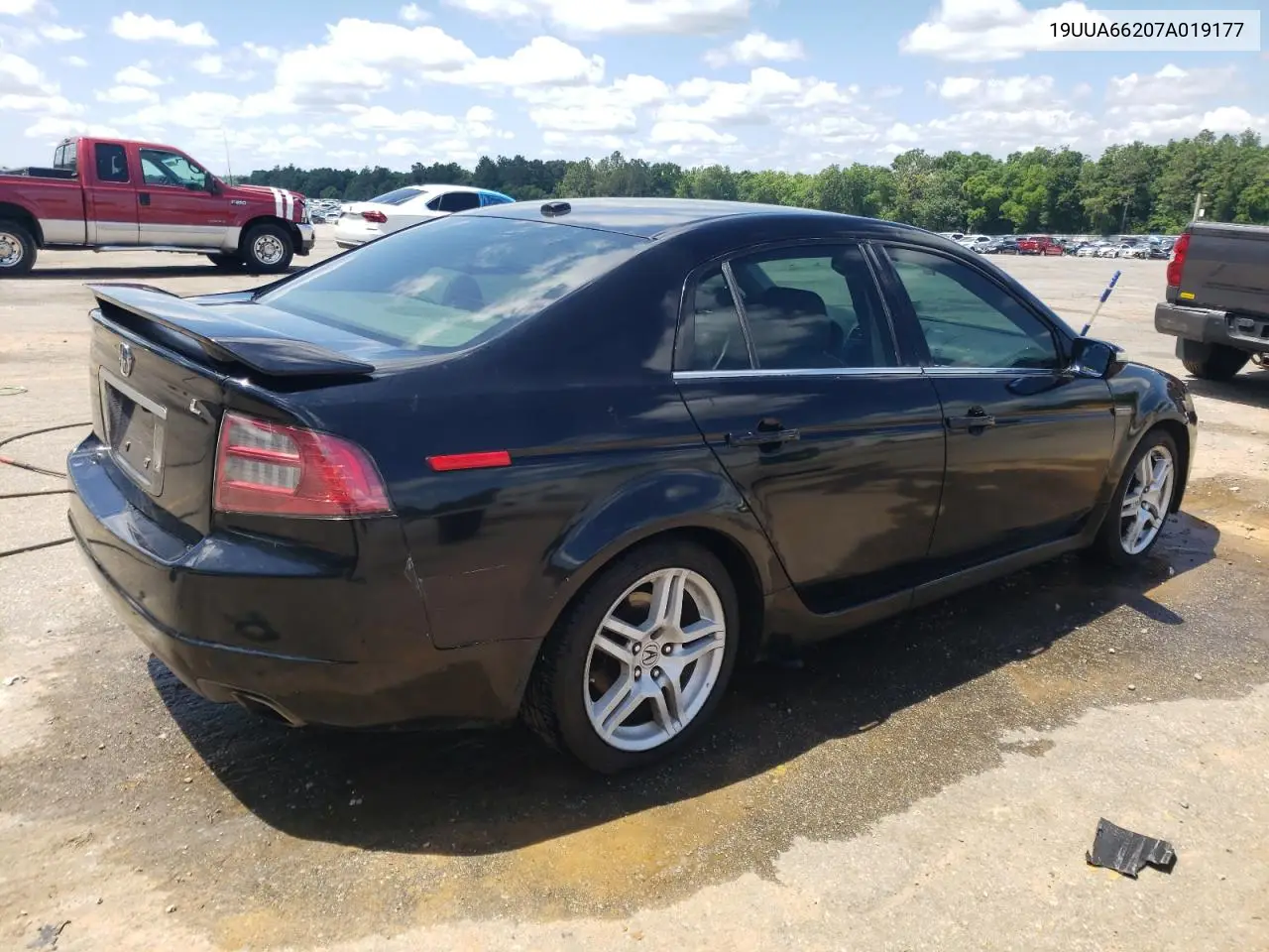 2007 Acura Tl VIN: 19UUA66207A019177 Lot: 56856165