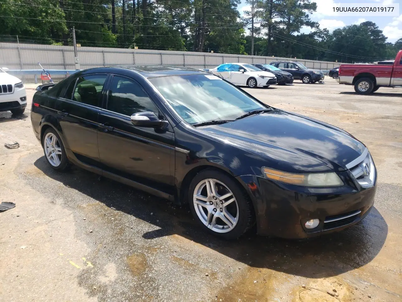 2007 Acura Tl VIN: 19UUA66207A019177 Lot: 56856165