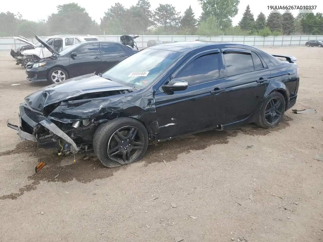 2007 Acura Tl VIN: 19UUA66267A010337 Lot: 56886965