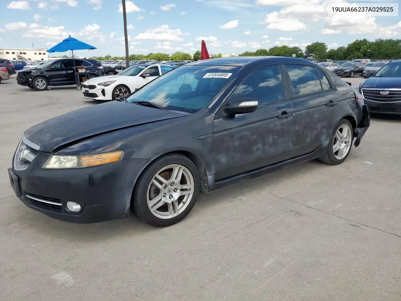 2007 Acura Tl VIN: 19UUA66237A029525 Lot: 61044805