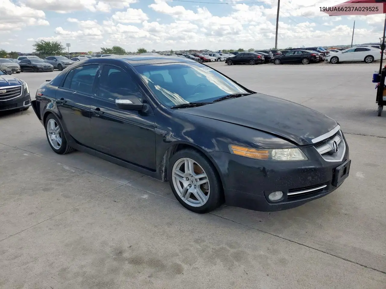 2007 Acura Tl VIN: 19UUA66237A029525 Lot: 61044805