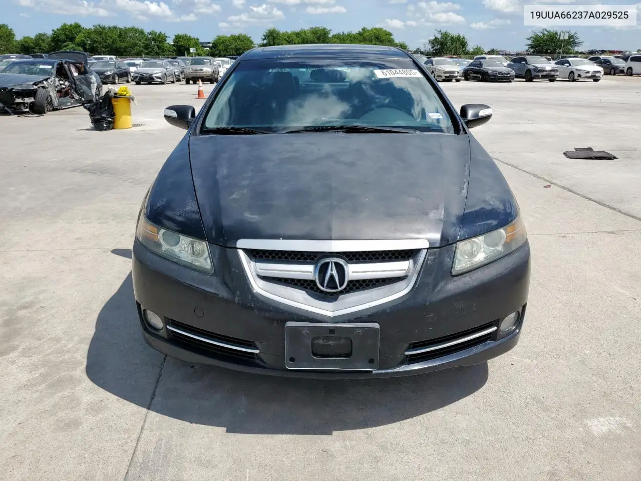 2007 Acura Tl VIN: 19UUA66237A029525 Lot: 61044805