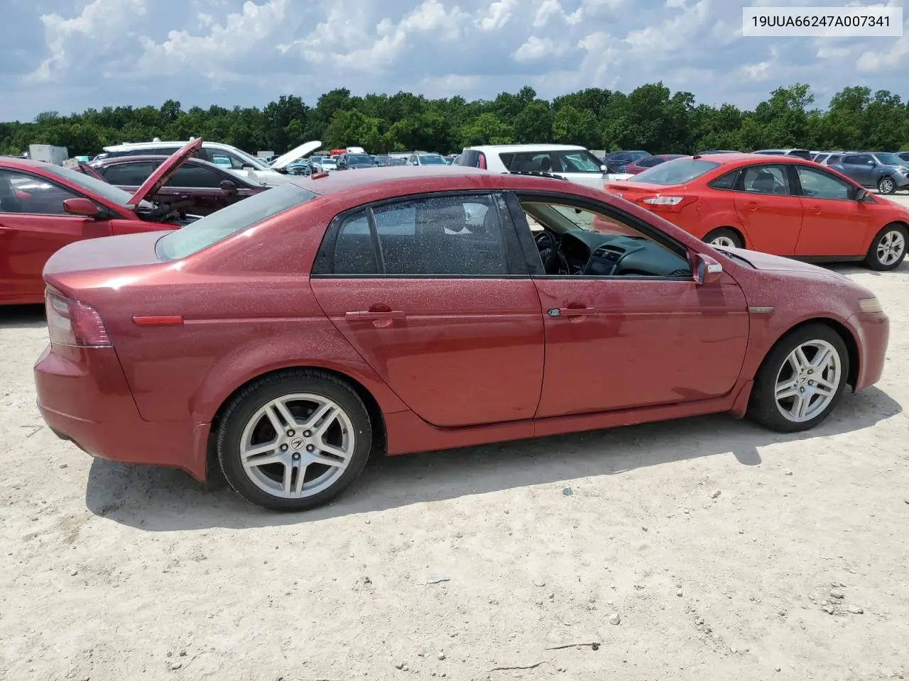 2007 Acura Tl VIN: 19UUA66247A007341 Lot: 61916445