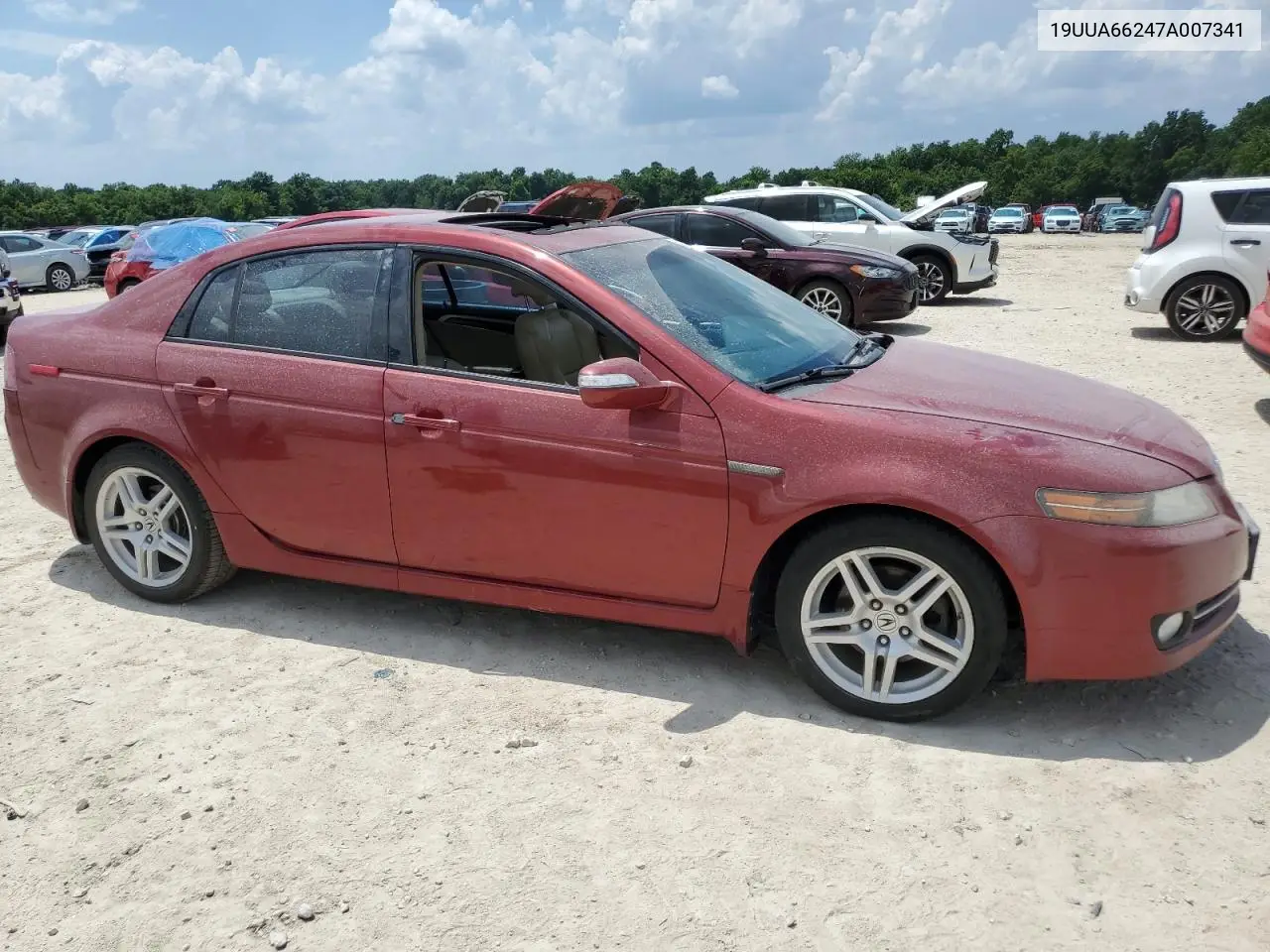 2007 Acura Tl VIN: 19UUA66247A007341 Lot: 61916445