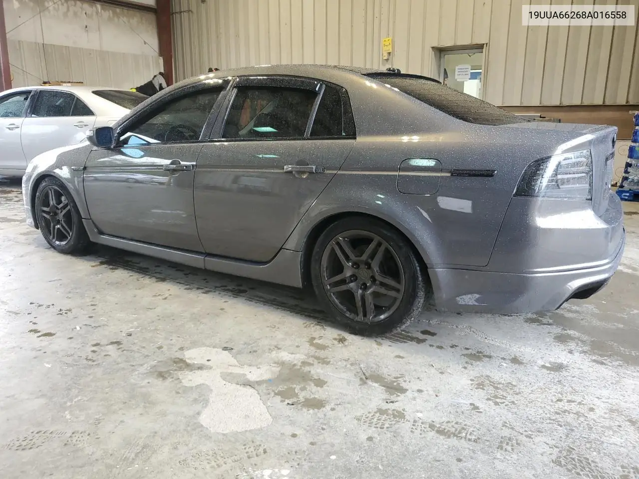 2008 Acura Tl VIN: 19UUA66268A016558 Lot: 56061185