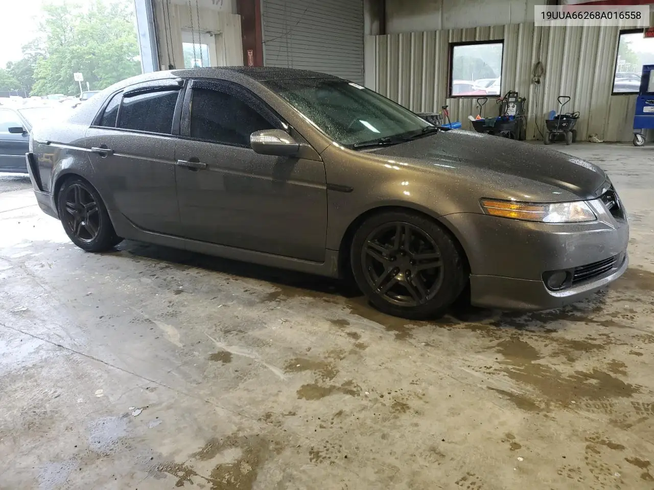 2008 Acura Tl VIN: 19UUA66268A016558 Lot: 56061185