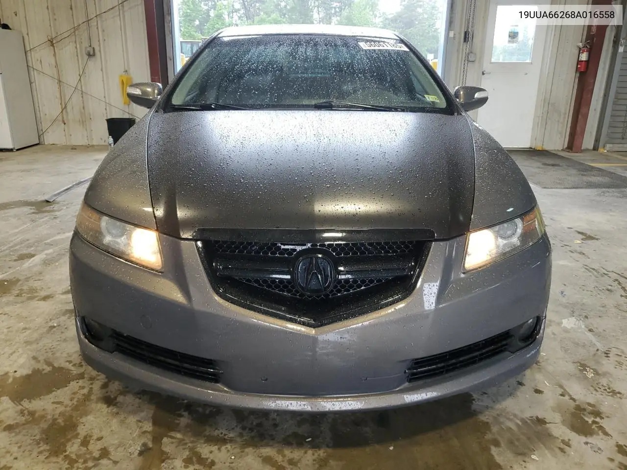 2008 Acura Tl VIN: 19UUA66268A016558 Lot: 56061185