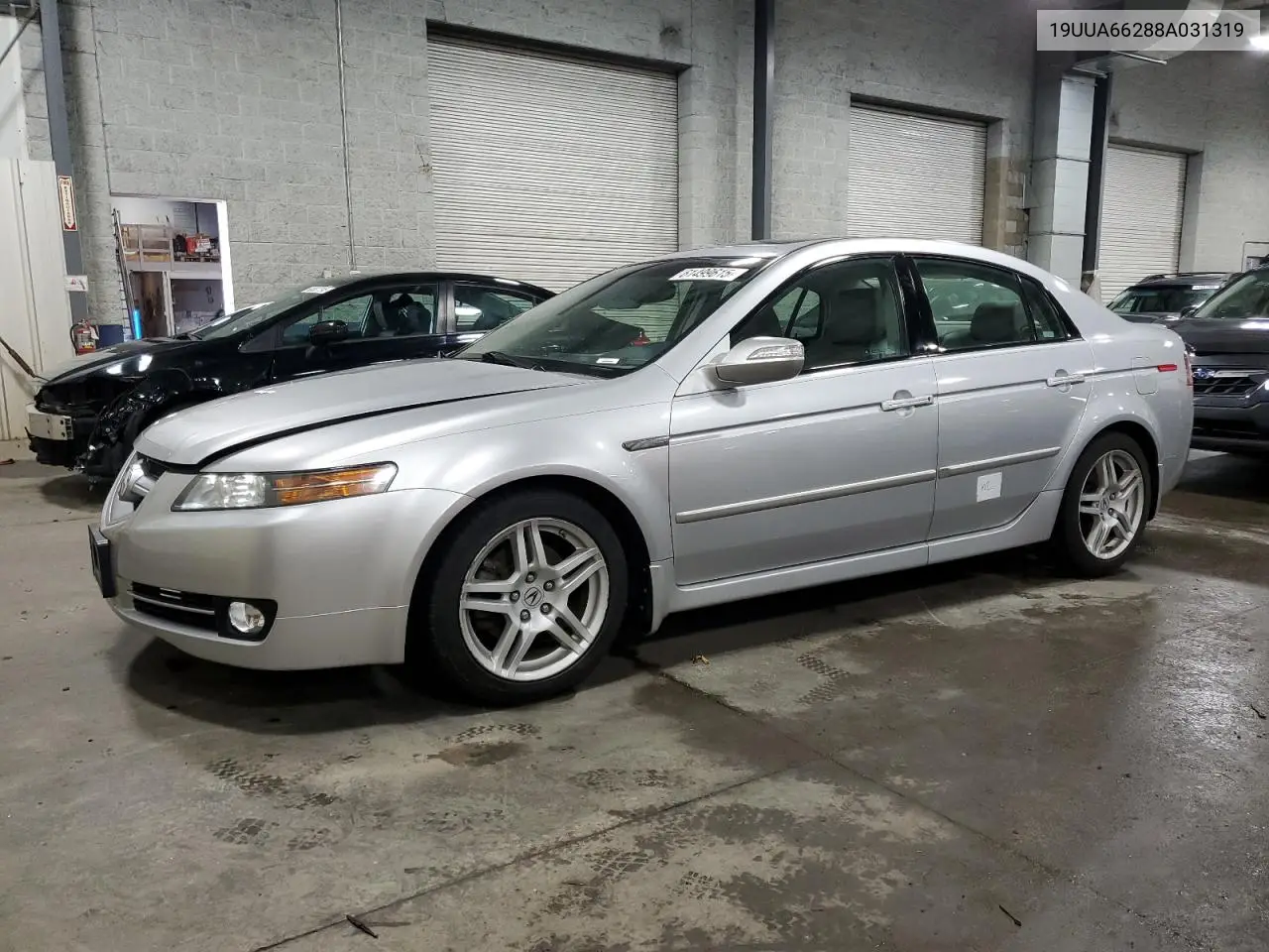 2008 Acura Tl VIN: 19UUA66288A031319 Lot: 61499615