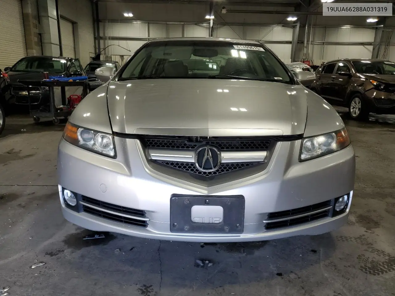 2008 Acura Tl VIN: 19UUA66288A031319 Lot: 61499615