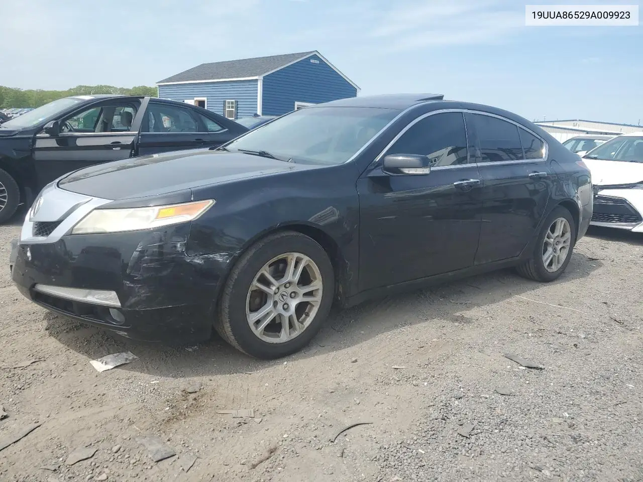 2009 Acura Tl VIN: 19UUA86529A009923 Lot: 53613785