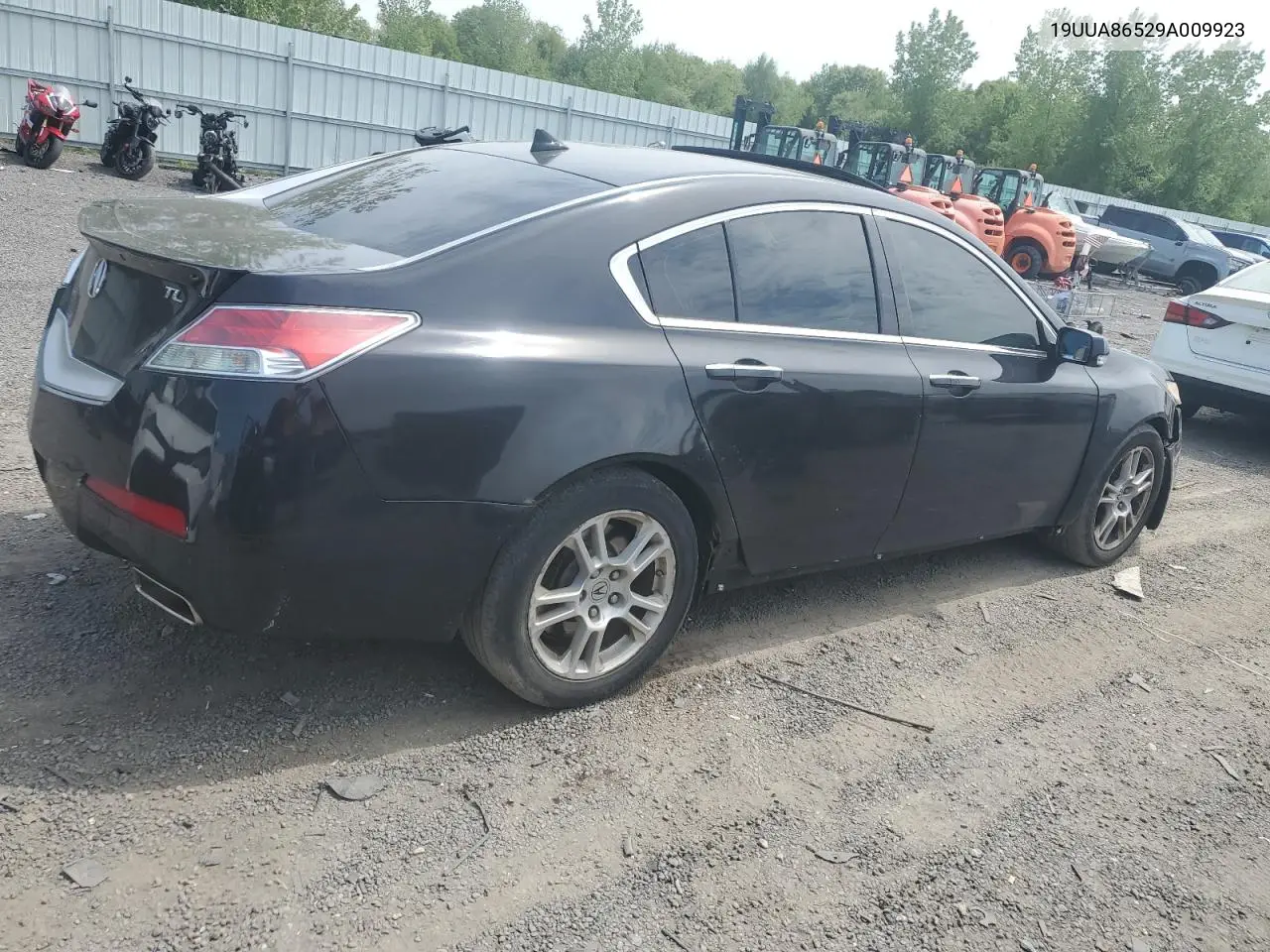 2009 Acura Tl VIN: 19UUA86529A009923 Lot: 53613785