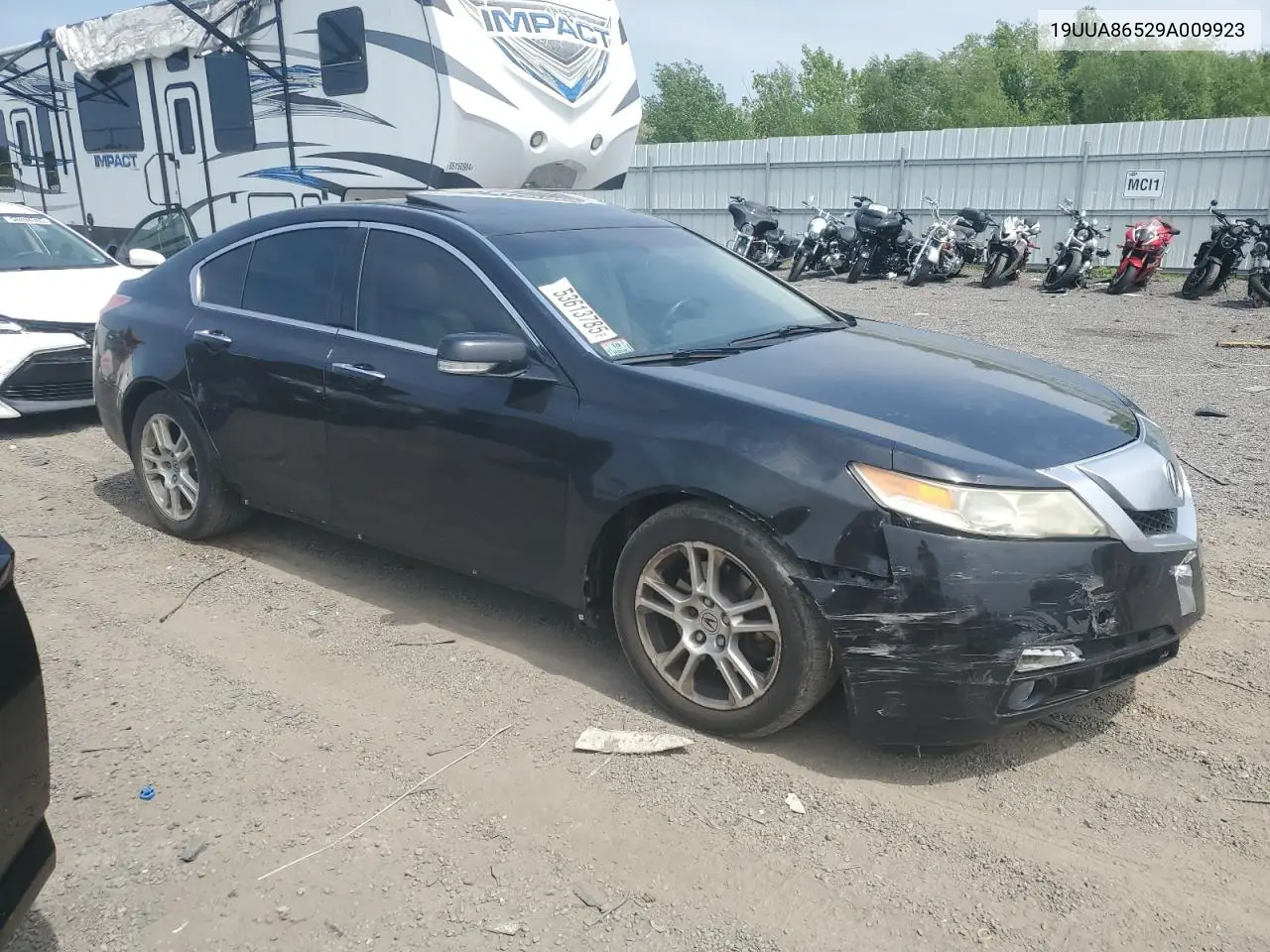 2009 Acura Tl VIN: 19UUA86529A009923 Lot: 53613785