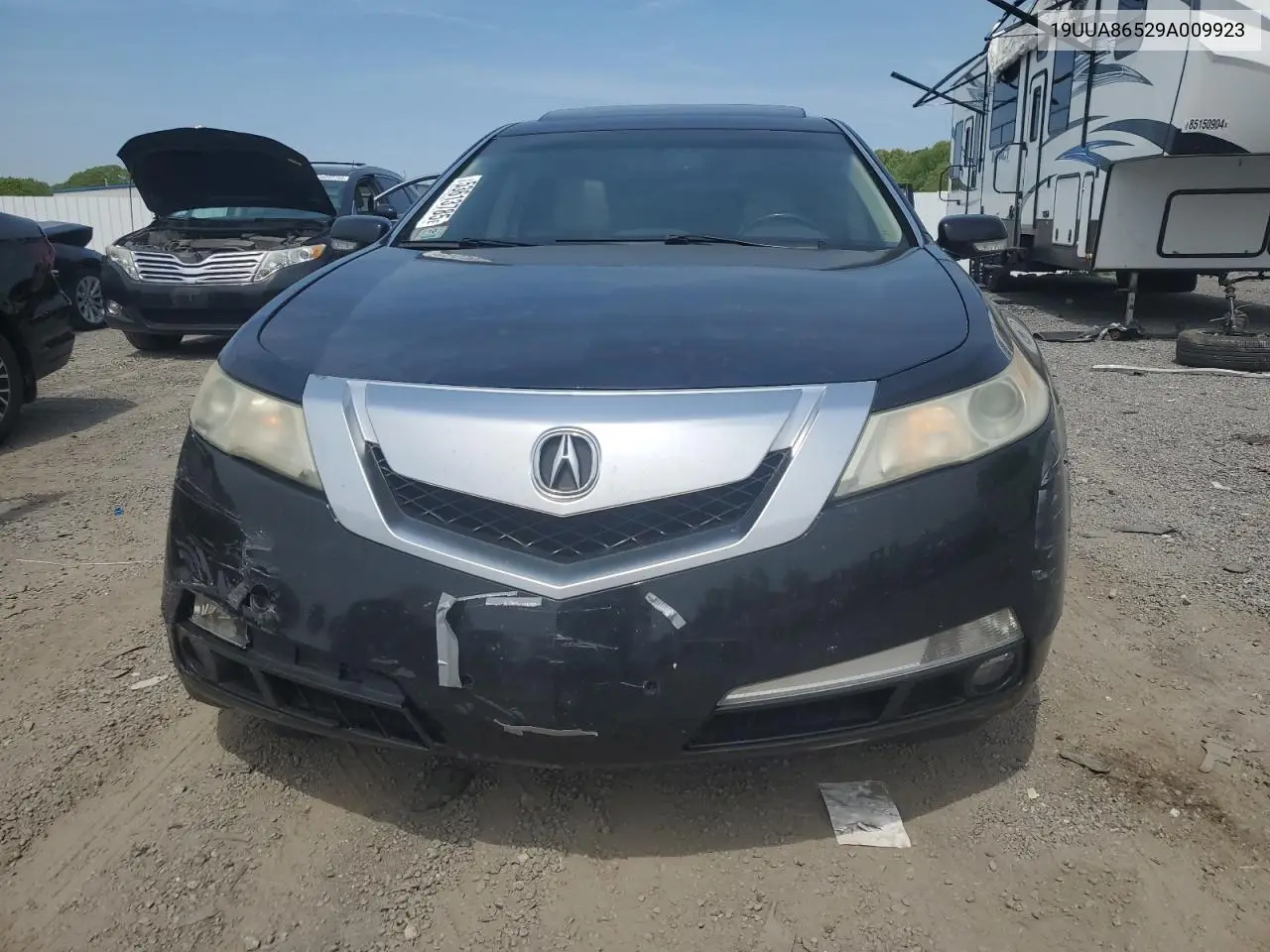2009 Acura Tl VIN: 19UUA86529A009923 Lot: 53613785