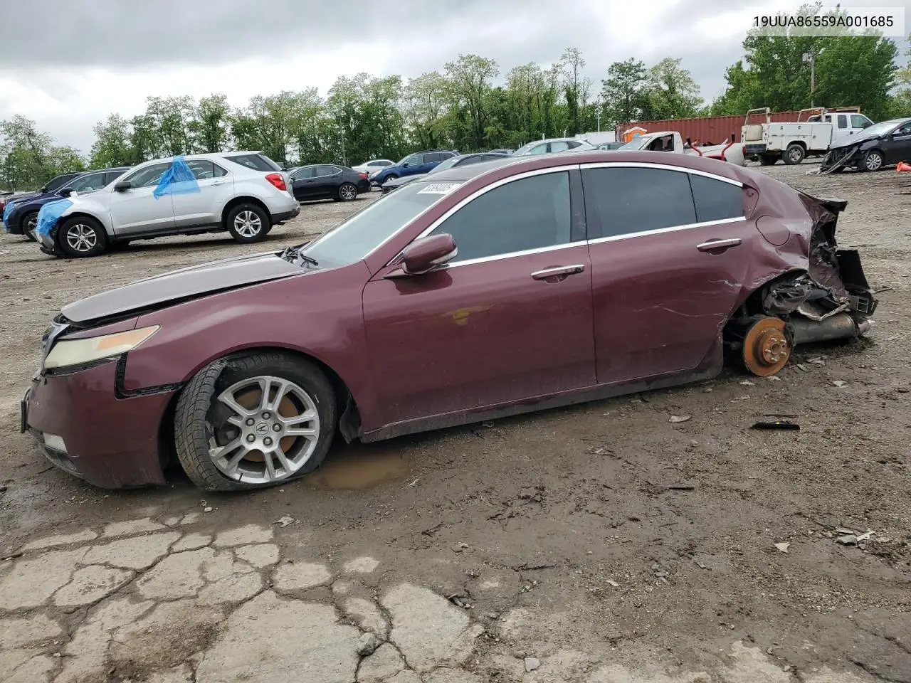 2009 Acura Tl VIN: 19UUA86559A001685 Lot: 53864005