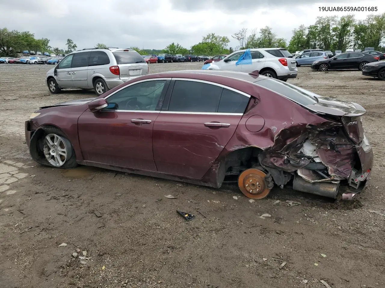2009 Acura Tl VIN: 19UUA86559A001685 Lot: 53864005