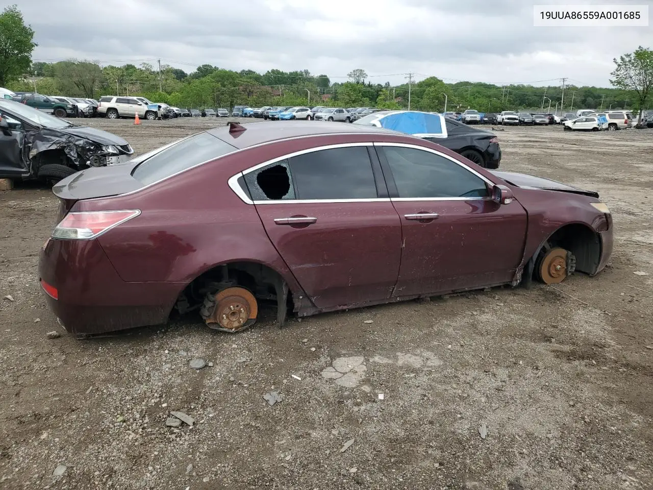 2009 Acura Tl VIN: 19UUA86559A001685 Lot: 53864005