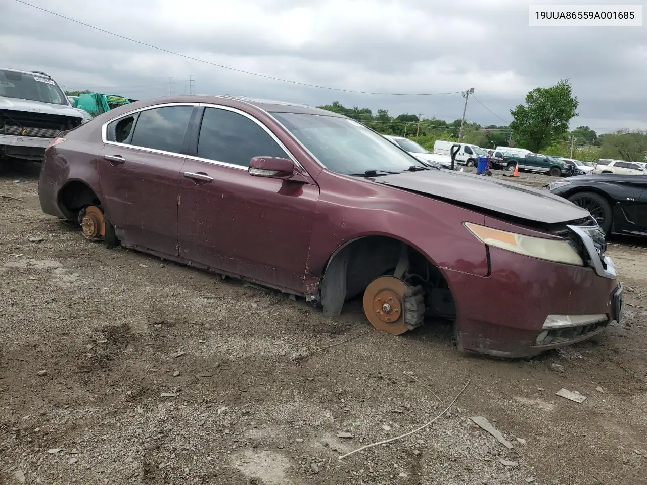2009 Acura Tl VIN: 19UUA86559A001685 Lot: 53864005