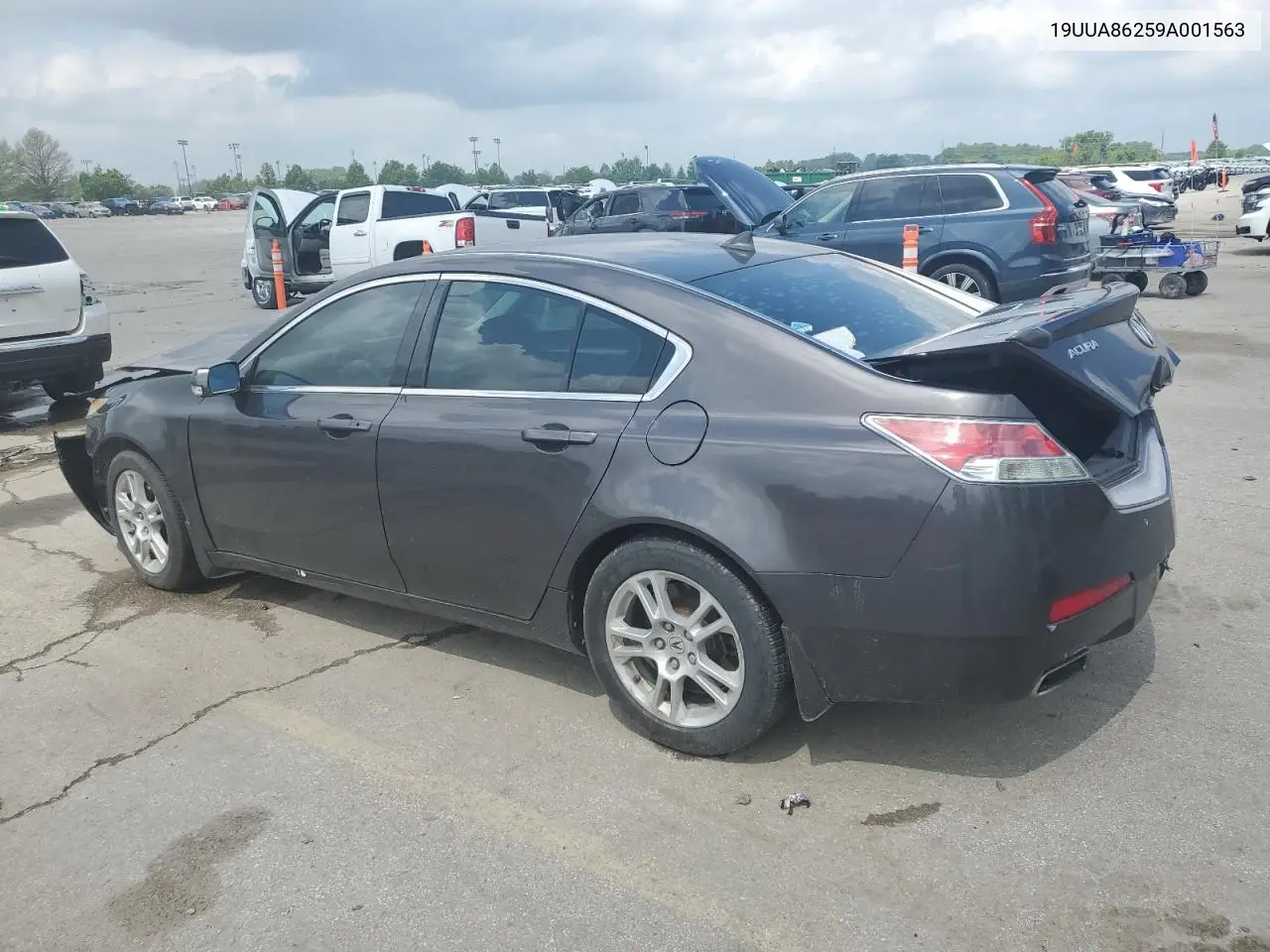 2009 Acura Tl VIN: 19UUA86259A001563 Lot: 55866725