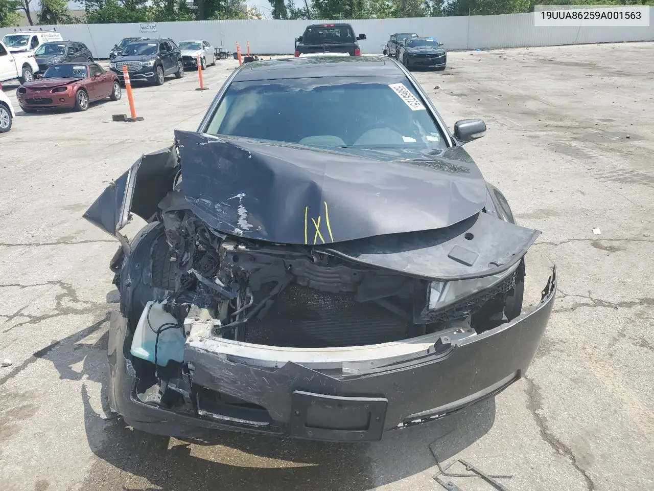 2009 Acura Tl VIN: 19UUA86259A001563 Lot: 55866725