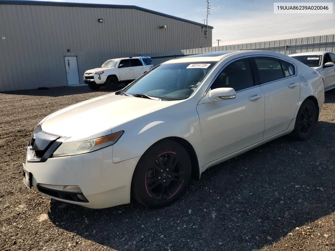 2009 Acura Tl VIN: 19UUA86239A020046 Lot: 56014735