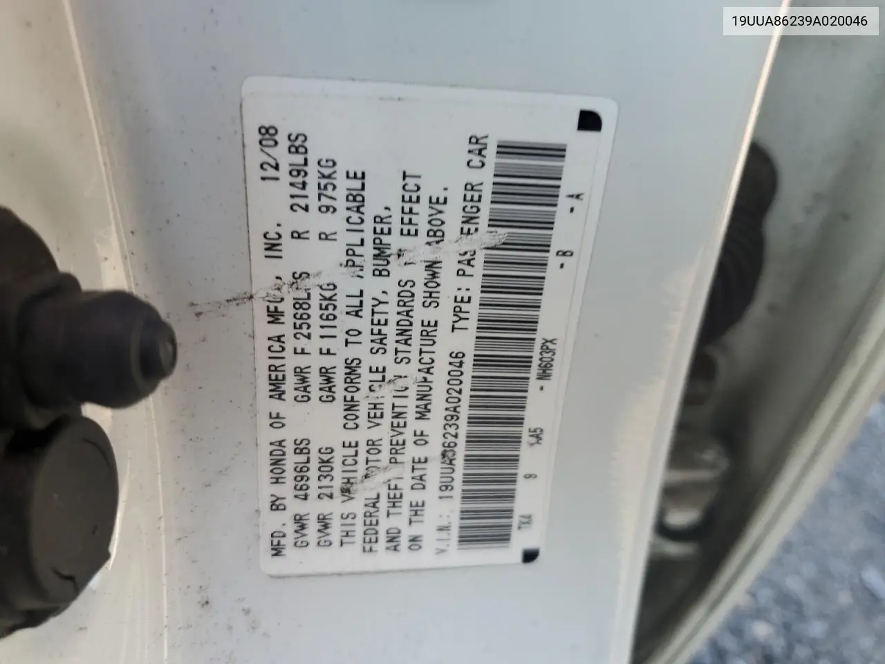 2009 Acura Tl VIN: 19UUA86239A020046 Lot: 56014735