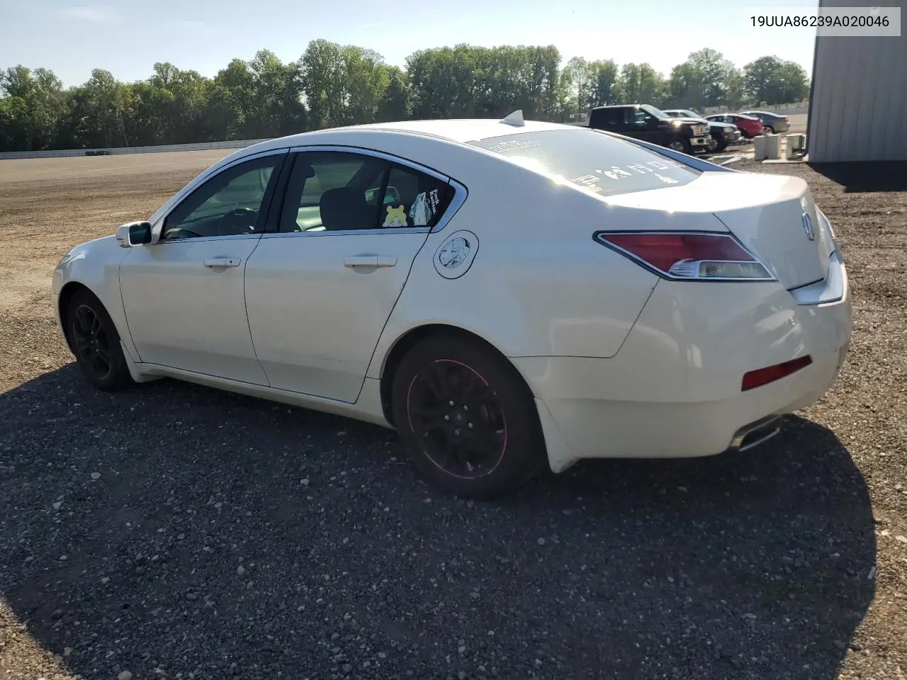 2009 Acura Tl VIN: 19UUA86239A020046 Lot: 56014735
